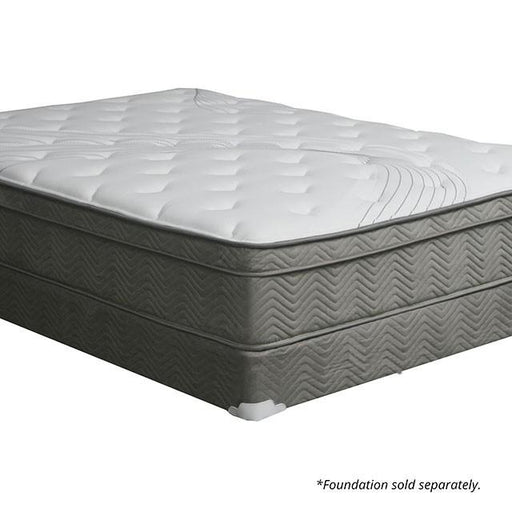 Afton 12 Euro Box Pocket Coil - Mattress & Furniture Super Center (Tampa, FL)