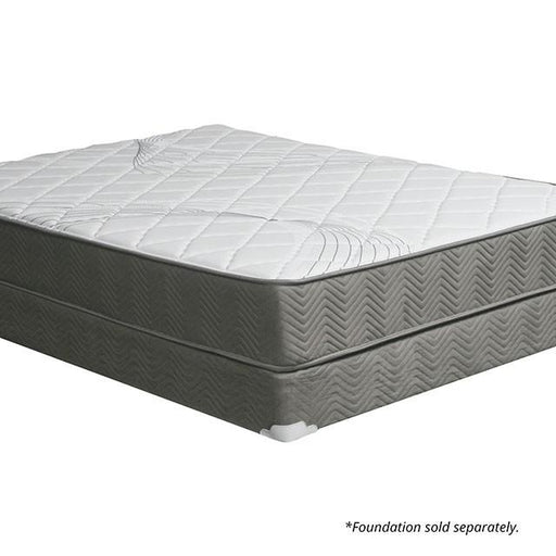 Edrea 10 Tight Top Pocket Coil - Mattress & Furniture Super Center (Tampa, FL)