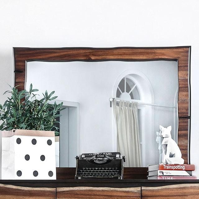 Why Customers Rate MAFSC As a Top Choice