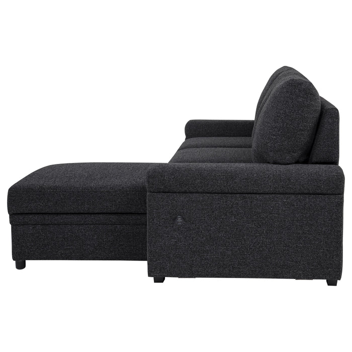 Demko Sleeper Sectional Sofa