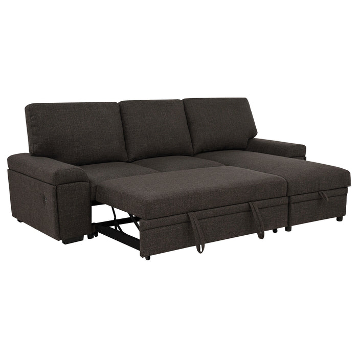 Demko Sleeper Sectional Sofa