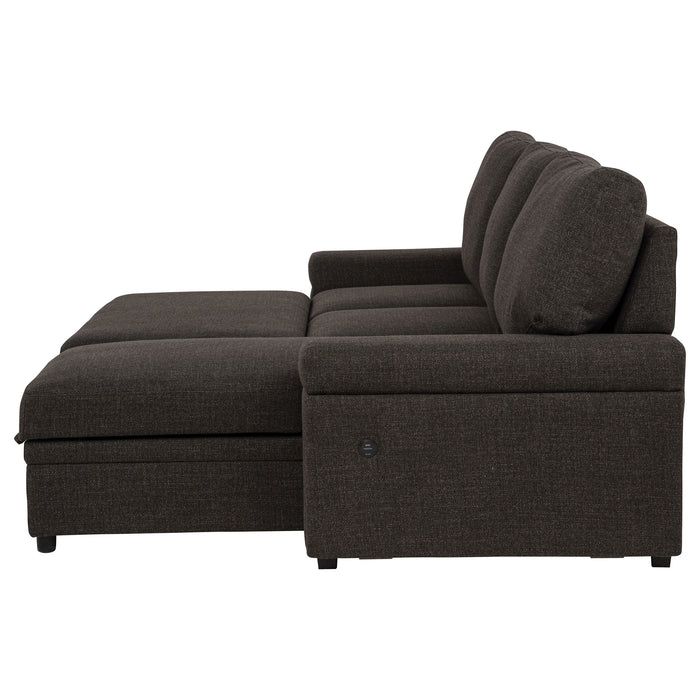 Demko Sleeper Sectional Sofa