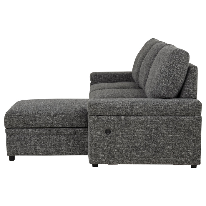 Demko Sleeper Sectional Sofa