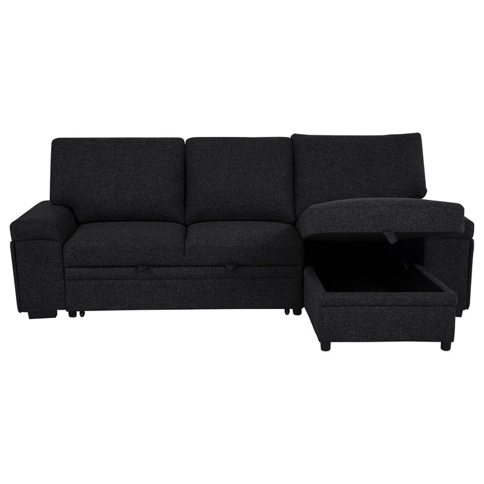 Demko Sleeper Sectional Sofa