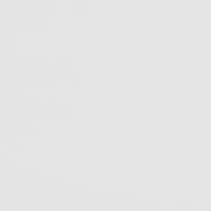 Frankie Bunk Bed with Mattress