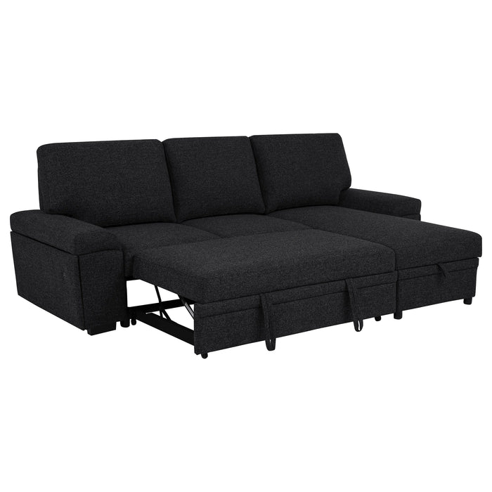 Demko Sleeper Sectional Sofa