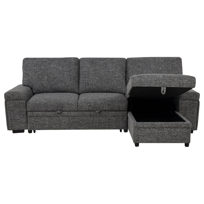 Demko Sleeper Sectional Sofa