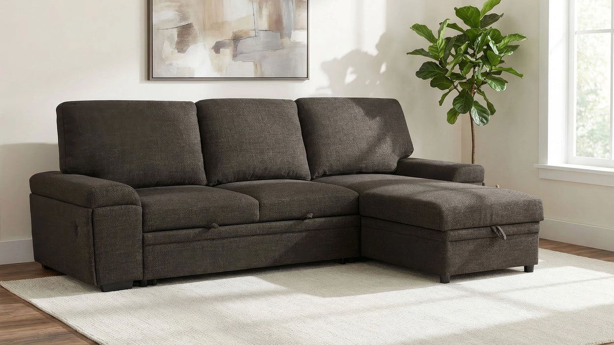 Demko Sleeper Sectional Sofa