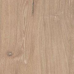 Cielden Dresser and Mirror - Mattress & Furniture Super Center (Tampa, FL)