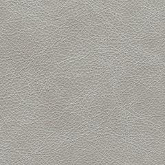 Amiata Upholstery Package - Mattress & Furniture Super Center (Tampa, FL)