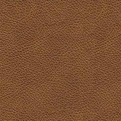 Carianna Loveseat - Mattress & Furniture Super Center (Tampa, FL)