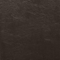 Kimonte Dining Chair - Mattress & Furniture Super Center (Tampa, FL)