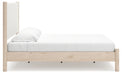 Cadmori Upholstered Bed - Mattress & Furniture Super Center (Tampa, FL)