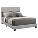 Dorian Upholstered Bed - Mattress & Furniture Super Center (Tampa, FL)