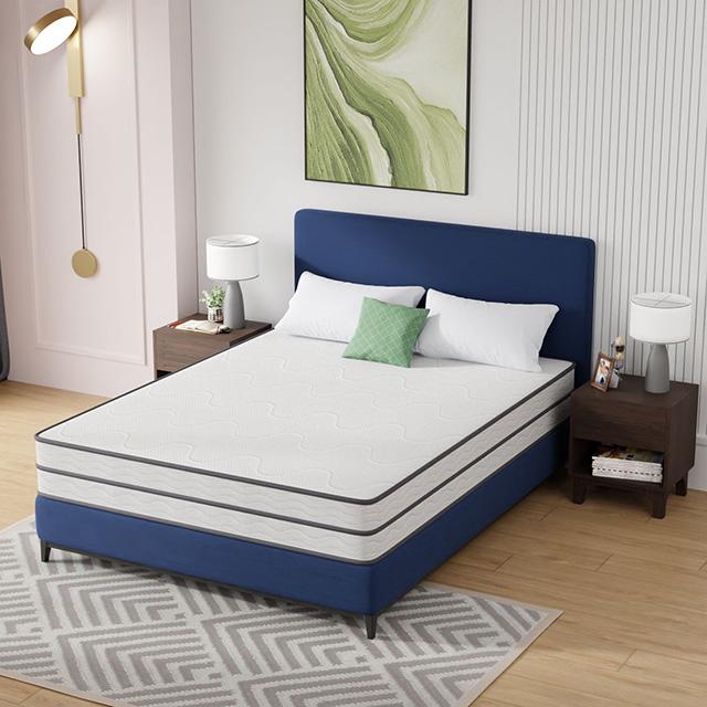 Catmint Mattress - Mattress & Furniture Super Center (Tampa, FL)