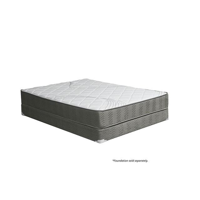 EDREA White/Gray 10" Tight Top Pocket Coil, Cal.King - Mattress & Furniture Super Center (Tampa, FL)