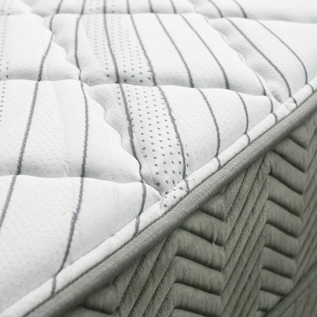 EDREA White/Gray 10" Tight Top Pocket Coil, Queen - Mattress & Furniture Super Center (Tampa, FL)