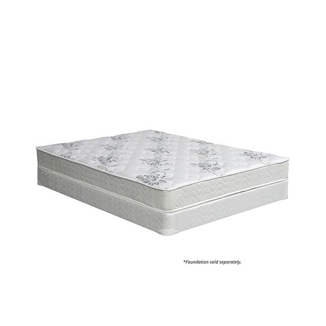 ELBERTYNA White 8" Tight Top Mattress, Twin - Mattress & Furniture Super Center (Tampa, FL)