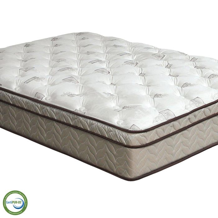 Lilium White/Brown 13" Euro Pillow Top, Queen - Mattress & Furniture Super Center (Tampa, FL)