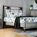 DAPHNE Gray Cal.King, E.King & Queen Bed - Mattress & Furniture Super Center (Tampa, FL)