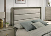Rainier Queen Bedroom Set - Mattress & Furniture Super Center (Tampa, FL)