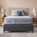 Chablis Firm Hybrid 1072 - Mattress & Furniture Super Center (Tampa, FL)
