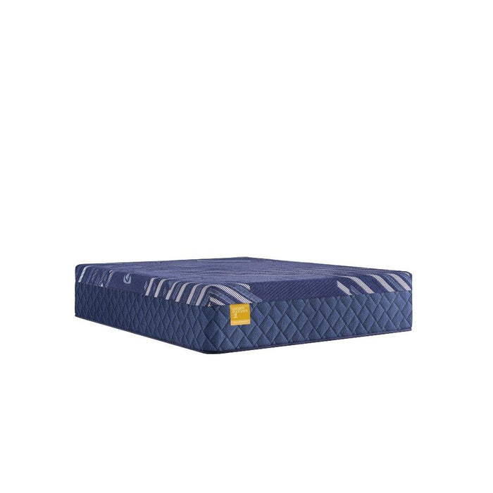 Forsyth Park Hybrid Mattress