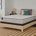 Leahy Innerspring Mattress - Mattress & Furniture Super Center (Tampa, FL)