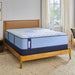 Newland Spring Mattress - Mattress & Furniture Super Center (Tampa, FL)