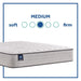 Leahy Innerspring Mattress - Mattress & Furniture Super Center (Tampa, FL)