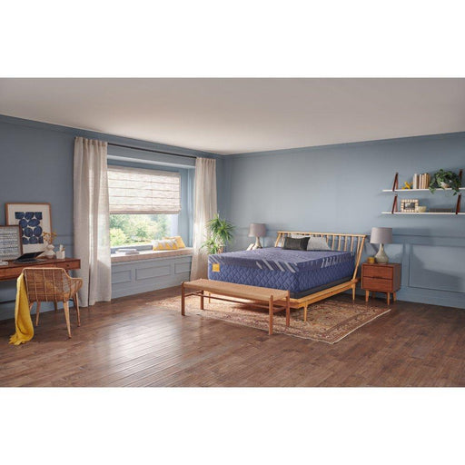 Forsyth Park Hybrid Mattress - Mattress & Furniture Super Center (Tampa, FL)
