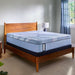 Haverford Hybrid Mattress - Mattress & Furniture Super Center (Tampa, FL)