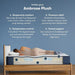 Serta iComfortPro Mattress Ambrose Plush Mattress - Twin XL image
