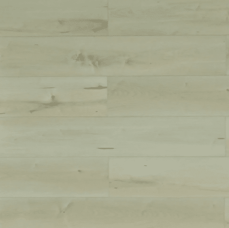 BELGRADE (Special Order) - Mattress & Furniture Super Center (Tampa, FL)