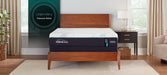 Tempur-Pedic Adapt Medium Hybrid Mattress - Mattress & Furniture Super Center (Tampa, FL)