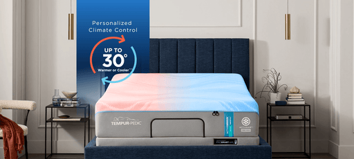 Tempur-Ergo ProSmart Air - Mattress & Furniture Super Center (Tampa, FL)