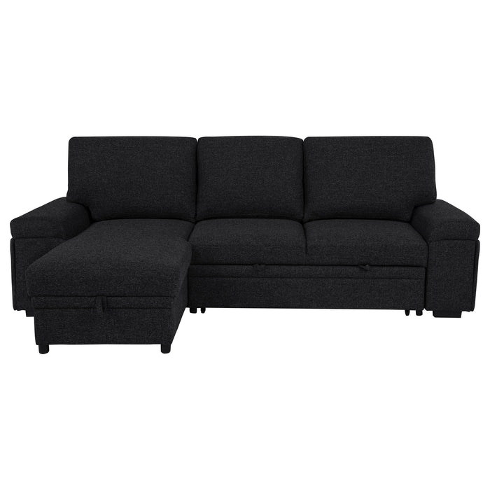 Demko Sleeper Sectional Sofa