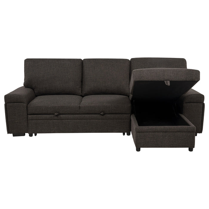 Demko Sleeper Sectional Sofa