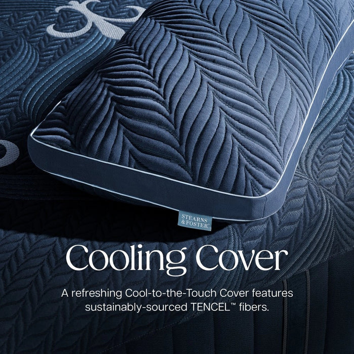Stearns and Foster Down Blend & Latex Pillow