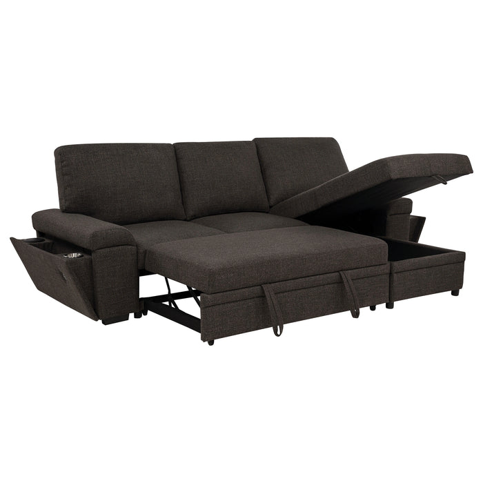 Demko Sleeper Sectional Sofa