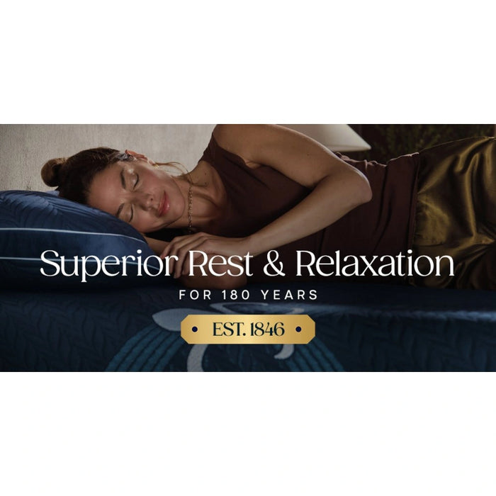 Stearns and Foster Down Blend & Latex Pillow