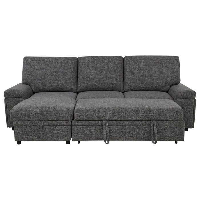Demko Sleeper Sectional Sofa