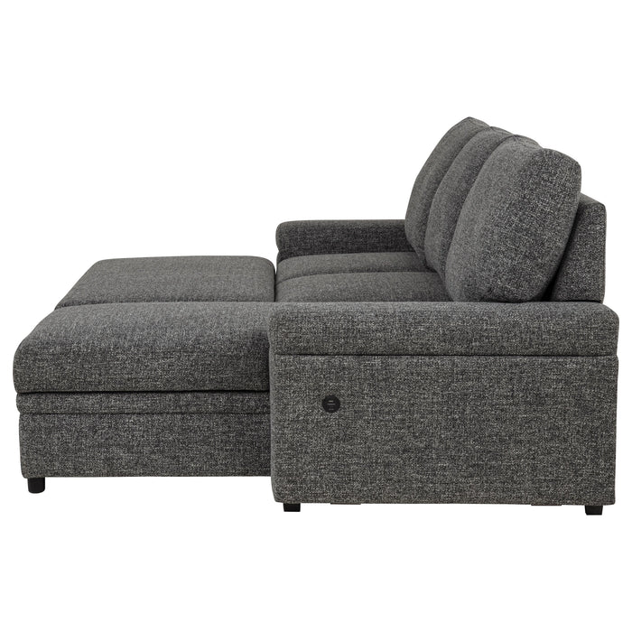 Demko Sleeper Sectional Sofa