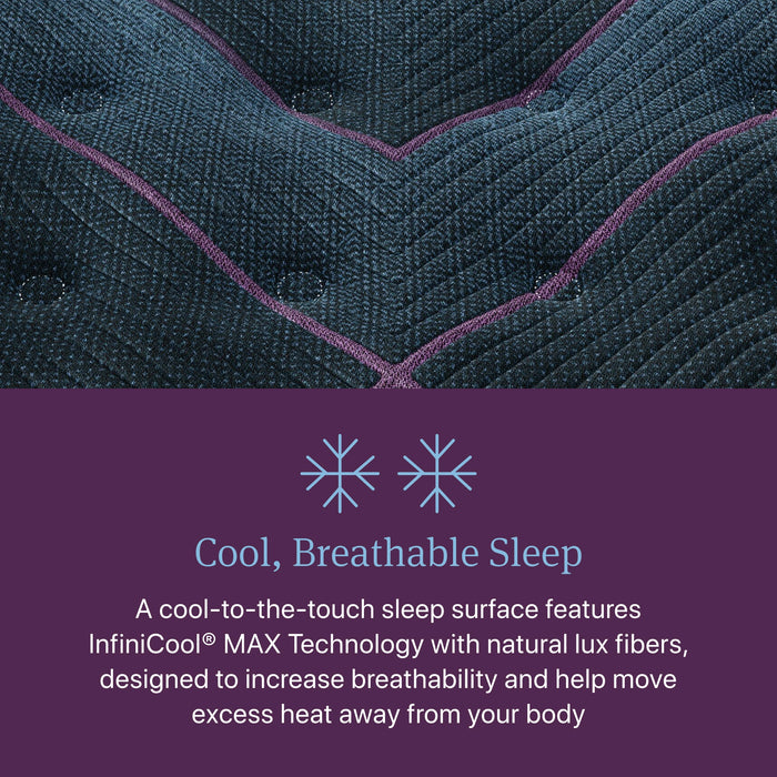 Beautyrest World Class Level Three Plush Mattress