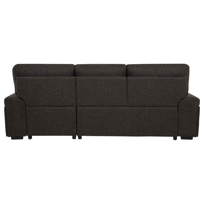 Demko Sleeper Sectional Sofa