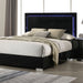Sinistra Queen Bedroom Set - Mattress & Furniture Super Center (Tampa, FL)